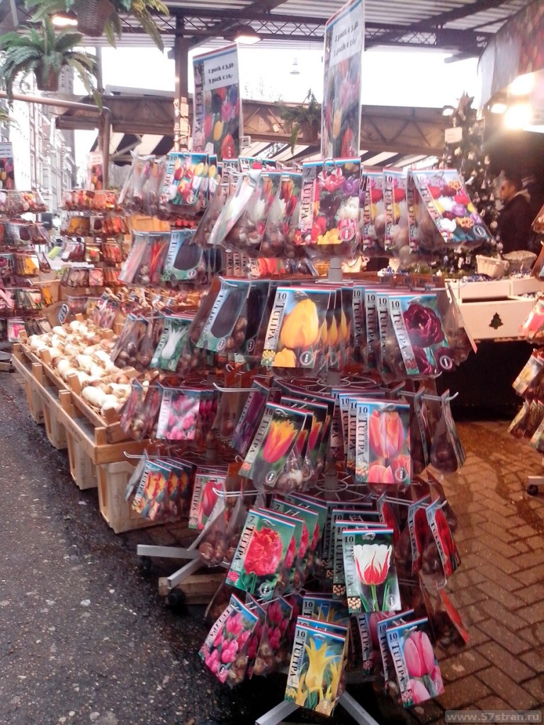 Цветочный рынок в Амстердаме