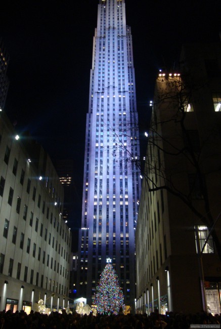 Достопримечательности Нью-Йорка: новогодняя елка у Empire state building с кристаллами Swarovski