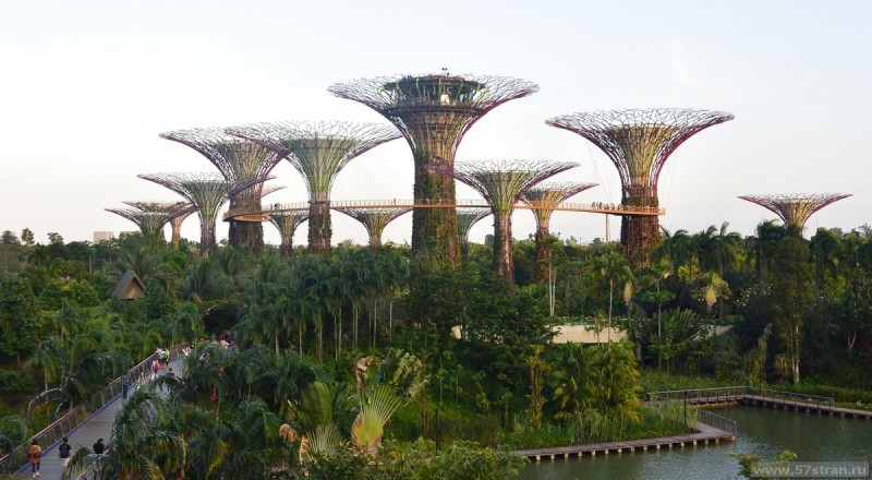 Достопримечательности Сингапура: Gardens by the bay - супер деревья