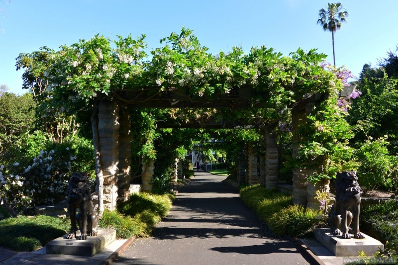Ботанические сады Сиднея