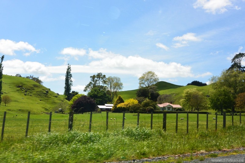 Деревня Новая Зеландия