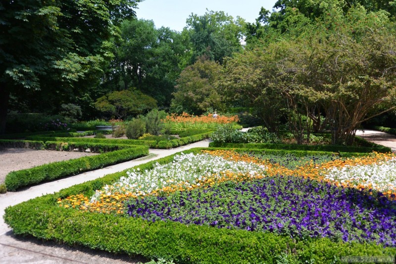 Ботанический сад Мадрида
