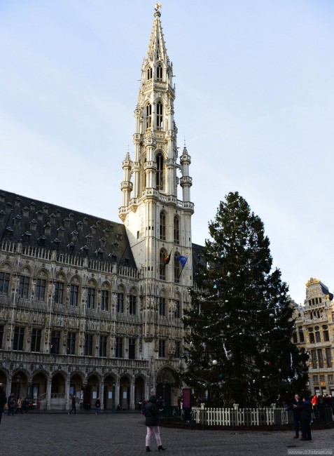 ратуша Брюссель